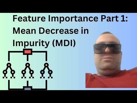 Feature Importance Methods Part 1: Mean Decrease in Impurity (MDI)