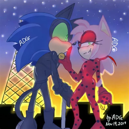 @sonic the hedgehog x amy rose hugs