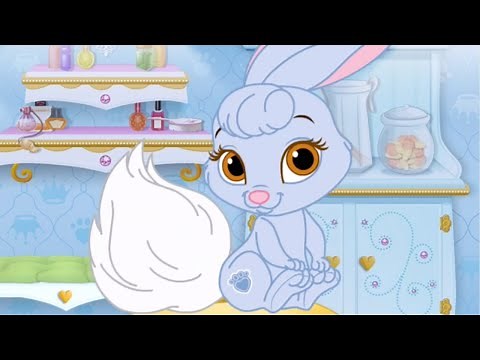 Palace Pets: Meet Blondie and Berry