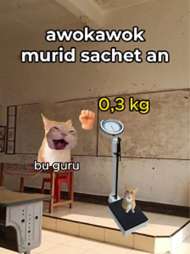 Kucing Lucu dan Ngakak: Meme Kucing Terbaik