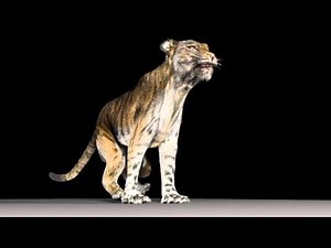 bengal vfx maya muscle system & xgen fur