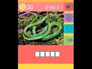 Teste qi gratis - Jogos Online Grátis & Desenhos