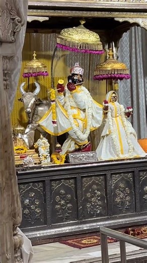 5th Mini vlog 🤌✨#jaipurvlog #minivolgs #minivlog #viralshort #viralvideo #viral #radheradhenaam