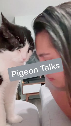 Toothless Nugget on TikTok