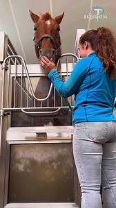 Spa pour chevaux 💦 | Equitom
