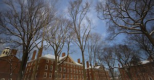 Bench-to-Business Boot Camp