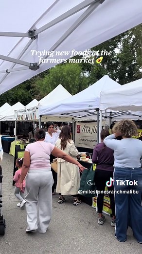 Sober Fun at Milestones Ranch Malibu: Find Healing