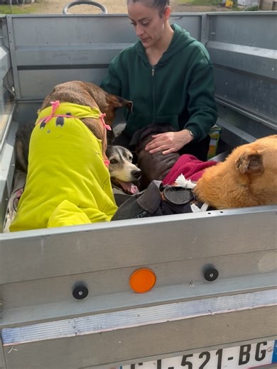 Association Suzi Handicap Animal officiel on Reels