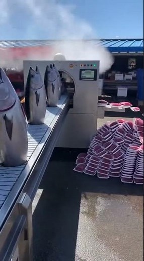 This Machine Turns Live Tuna Into Clean Tuna Fillets