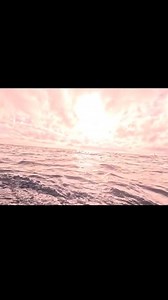 100K views · 1.8K reactions | Mako Shark Attack. | dailysportfish | Facebook