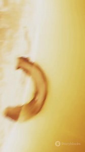 El Sol parece estar en llamas, pero en realidad no necesita oxígeno para producir energía. ¿Sabías que funciona más como un reactor nuclear natural? Descubre cómo funciona este proceso fascinante y por qué su brillo no se debe al fuego como el que conocemos en la Tierra. 🚀⚛️ #ciencia #curiosidades | Mente Inquieta