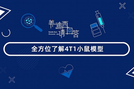 【美迪西请回答】全方位了解4T1小鼠模型