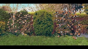 71K views · 49 reactions | From brilliant blowers to magical mowers, this isn't sorcery, it's STIHL! ✨ | STIHL | Facebook