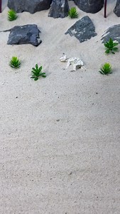 Building a Stunning Mini House on 8 Pillars _ The Final Design Is Unexpected | Mini Construction