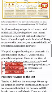 Why does red wine trigger headaches for some people? Chemists say the answer may lie in quercetin, a natural compound in grape skins that can interfere with alcohol metabolism and spike acetaldehyde levels. https://theconversation.com/why-does-red-wine-cause-headaches-our-research-points-to-a-compound-found-in-the-grapes-skin-243869 | The Conversation US