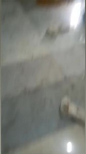 8.6K views · 47 reactions | 25” Impact Pulvriser Haldi fine Powder grinder machine, Turmeric powder machine, Haldi plant ☎️+91 89628 26650 | Punjab Engineering Corporation | Facebook