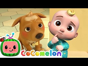 I Love My Dog Bingo | CoComelon Animal Time | Animals for Kids - Videos For Kids
