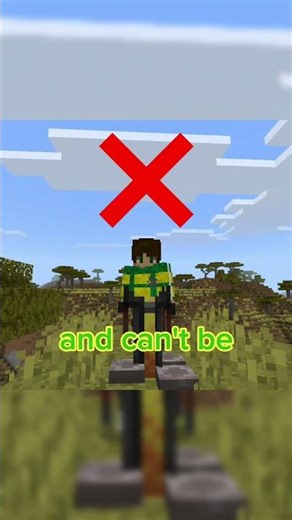 Minecraft's Secret Potion