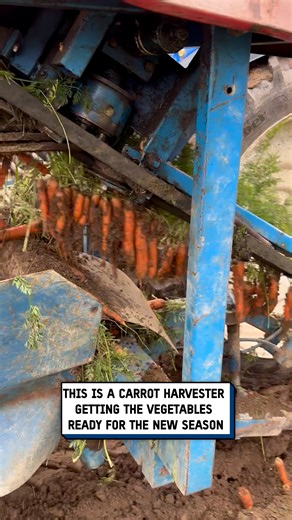 397K views · 2.2K reactions | This is how we harvest the best carrots 凌 #farmer #farming #process | UNILAD Tech | Facebook