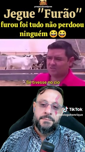 Híbrido de Jumento com Vaca: Descubra o Fascinante