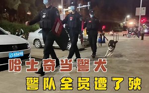 不会吧不会吧，不会真有人不知道Tab键这样用吧！#职场 #word