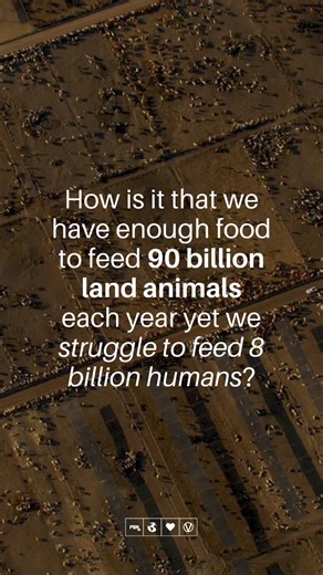 19K views · 472 reactions | According to the Food and Agriculture Organization, an estimated 92.2 billion land animals are kept and slaughtered annually in the global food system. Instead of growing food for humans, we're growing food for farmed animals. Animal agriculture is inefficient and a plant-based food system could free up around 75% of global agricultural land. #feedtheworld #farming #food #humanity | Plant Based News | Facebook