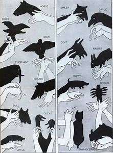 SHADOW PUPPETS - I'd love to do these with my little guy! See them all here --> http://www.lemonharanguepie.com/2011/01/fun-with-shadows-for-home-entertainers.html | Spaceships and Laser Beams