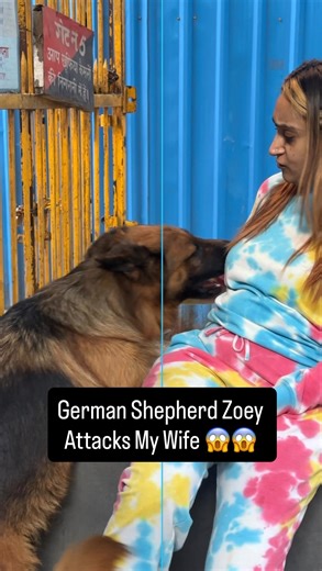 Namita Dua - Namitaology (BUBZEE , LADY OLLIE & ZOEY) on Instagram: "German Shepherd Zoey Attacked My Wife 😱😱 . . . [rottweiler dog,rottweiler puppies,rottweiler puppy,rottweilers,funny rottweiler,rottweiler guard dog,rottweiler protection dog,rottweiler training,cutest rottweiler dogs,rottweiler funny,rottweiler for sale,funny rottweiler compilation,rottweiler compilation,rottweiler dogs,rottweiler puppies for sale,own rottweiler,rottweiler 101,rottweiler tips,male rottweiler,rottweiler facts