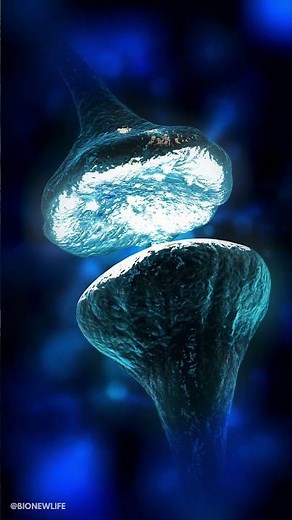 What is Neuropharmacology? #biology #neuroscience