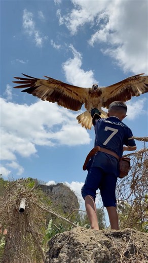 The obedience of the big eagle to the little boy tarzan #animals