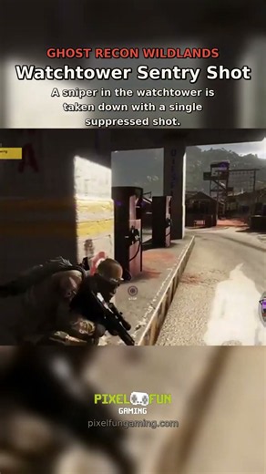 Watchtower Sentry Shot