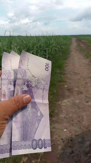 @highlight | Jemar Castillo