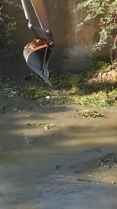 88K views · 544 reactions | Excavations helped open the waterway. # 156 # Excavation # unclogging # youtubeshorts | Beaver Dam Removal | Facebook