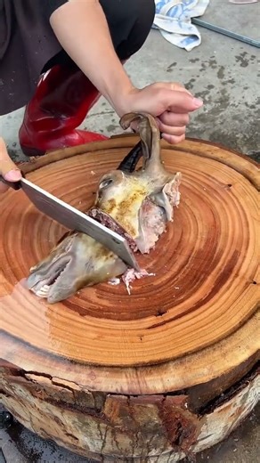 Butchering Goat Head With Smooth Knife Technique 1018 #knifeskills #butcher #goat #shorts