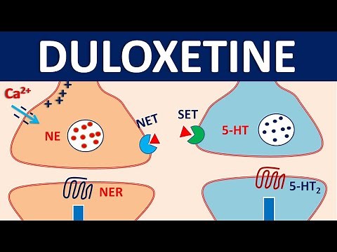 Duloxetine (cymbalta) - Mechanism, precautions, interactions & uses