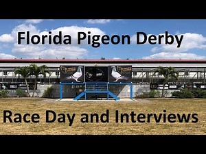 FLORIDA PIGEON DERBY 2025 - WINNING PIGEONS-INTERVIEWS