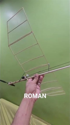 rc slow flyer f.f.2.e