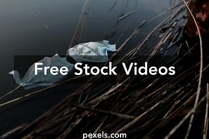 Protect Environment Videos, Download The BEST Free 4k Stock Video Footage & Protect Environment HD Video Clips