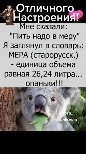 Humorous Koala Jokes in a Fun Visual Series