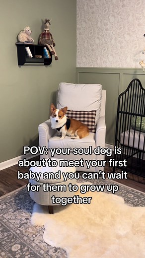 #corgi #dog #corgibaby #sweet #crying #happy #baby #pregnant #aboyandhisdog #soulmate #dog #toinfinityandbeyond #love #forever #bestfriend #nursery #mobile #quilting #happytears #angel #cantwaittomeetyou #pure #lovestory #beginnings