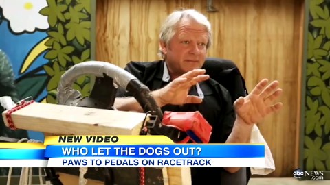 Driving Dogs Take on Racetrack
