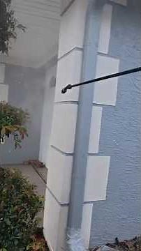 Roof Cleaning Property Protection