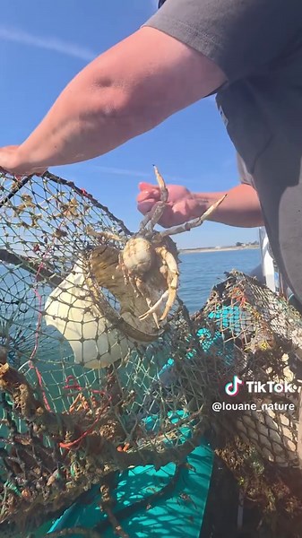 il est magique ce casier ! 😳😆 | la mer