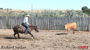 Richard Jordan's phenomenal 2yr old program has had a massive impact on our industry, with his sale graduates having won in excess of $3.5 million to date in the show pen. Richard gives you a great insight to why he doesn't like to micro-manage his horse's and that expression comes from confidence, illustrating: * How he pushes his horse's into the stop more than pull them into the stop. * How to get draw by the way he quits a cow. * Focus more on what they are doing right, not wrong. * How he r
