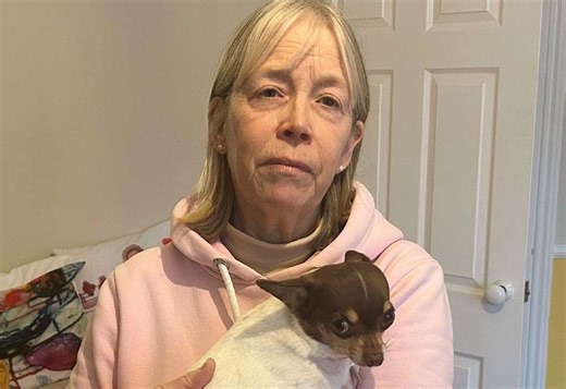 ‘Cyclist ran over my dog, didn’t stop and left me with £1.3k vet bill’