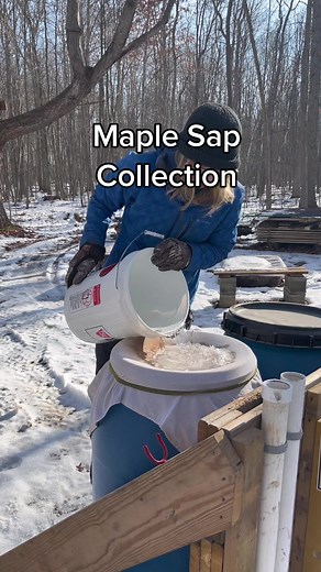 Living Our American Dream on TikTok