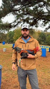 2.6K views · 3.4K reactions | Boneyard 領 kelso Bull Stag Jacket/pants @aggearclothing use ➡️ BoneyardFarm15 for 15 percent off your purchase. Boots 量 @bruntworkwear Use code ➡️ BONEYARDFARM10 for $10.00 off your purchase. #gallosfinos #gamefowlnation | Boneyard farm | Facebook