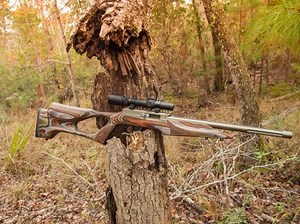 Gun Review: Tactical Solutions X-Ring .22LR Rifle