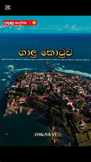 ඒකනන් පිස්සුවක් 🧑‍🦯🫠🪶 #galle #beach #beachvibes #trendingshorts #travel #1mviewers #srilanka #music