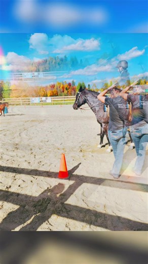 @Leacado #equitationpassion🥇🐴✨